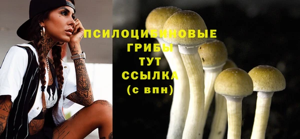 гидра Коряжма