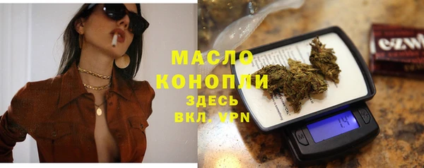 гашик Корсаков