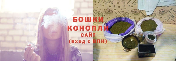 гашик Корсаков