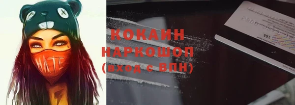 гашик Корсаков