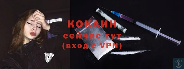 гидра Коряжма