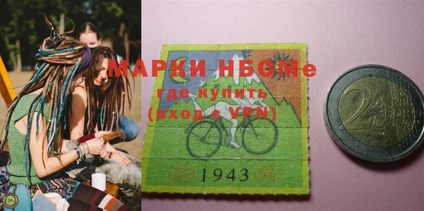 гидра Коряжма