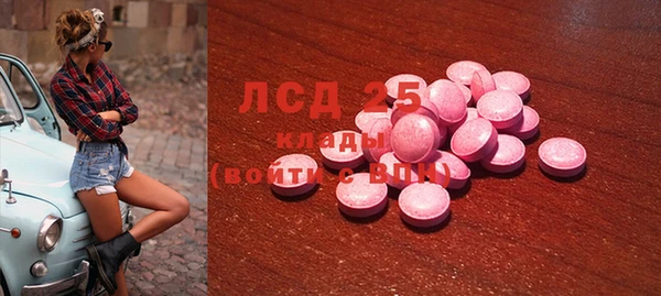 гашик Корсаков