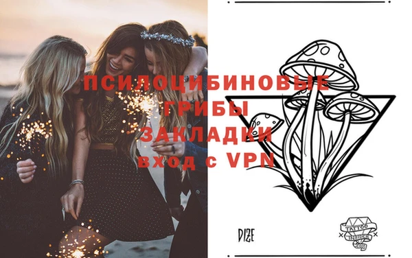 гидра Коряжма