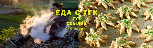 гашик Корсаков