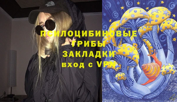 гашик Корсаков
