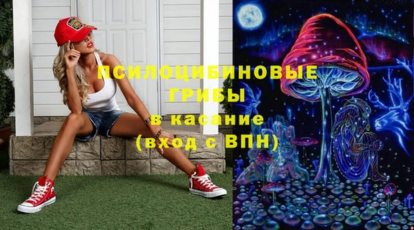 гашик Корсаков