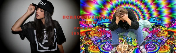 гашик Корсаков