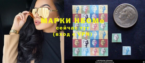 гидра Коряжма